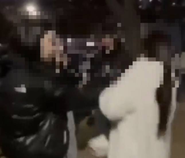 올해 5월 온라인에서 확산된 '인천 여중생 학폭 영상' 자료사진./사진=온라인 커뮤니티 화면캡처.