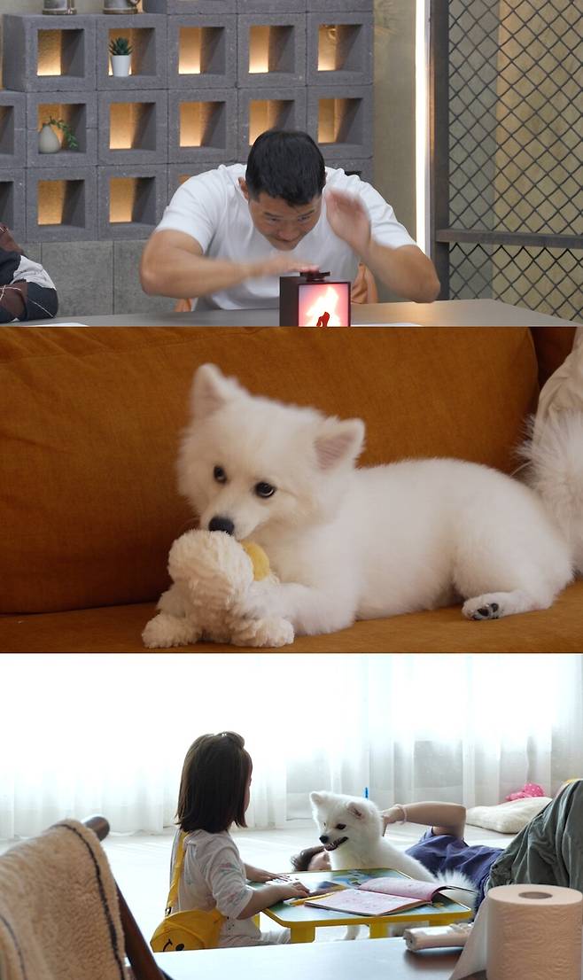 ▲ 제공|채널A '개와 늑대의 시간'