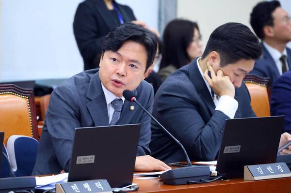 김현정의원, 프로스포츠·공연 암표 문제 근본 대책 마련 촉구.(사진제공=김현정 국회의원실)