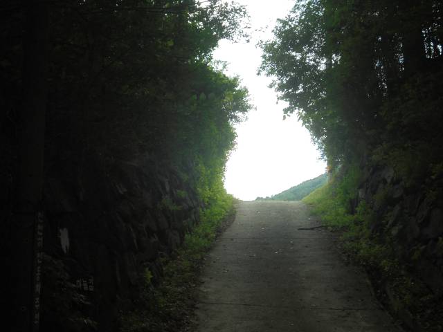 창원마을 하늘길.