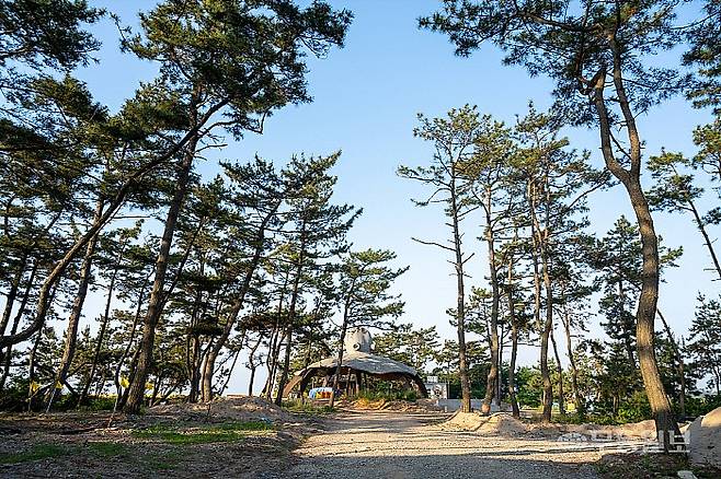 무안 9길- 노을길