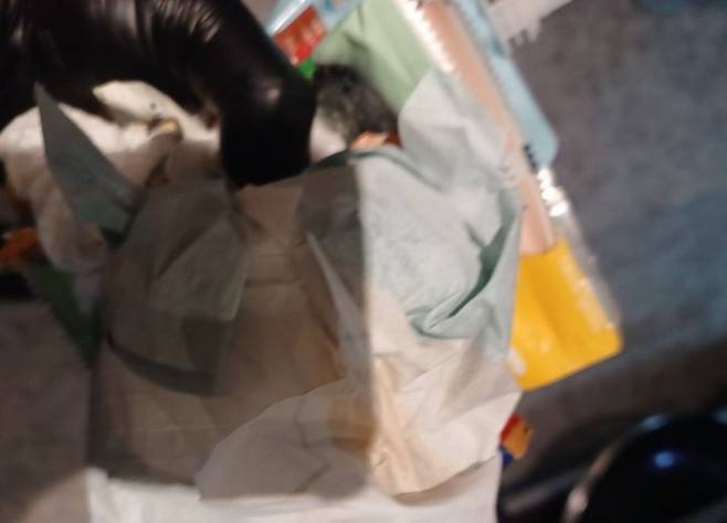 [뉴시스] 고깃집을 운영하는 자영업자가 똥기저귀를 두고 간 손님 때문에 힘들다는 사연을 올렸다. (사진='아프니까 사장이다' 갈무리) *재판매 및 DB 금지