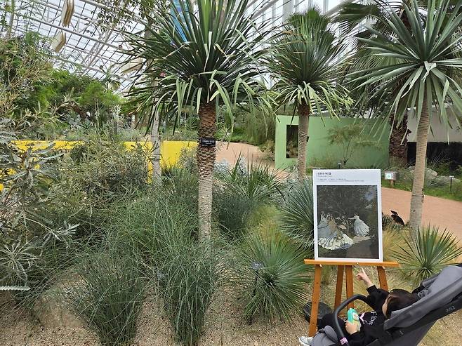 ▲&nbsp;일월수목원 전시온실에서 다양한 지중해 식물과 모네의 작품을 관람하는 어린이.