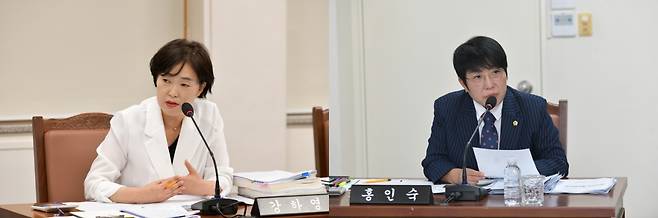 강하영 의원(왼쪽)과 홍인숙 의원.