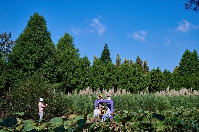 가을로 접어드는 태안 청산수목원