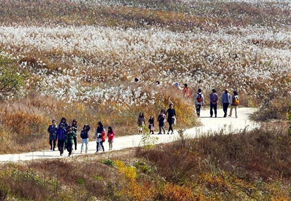 비내섬 전경. [사진=충주시]