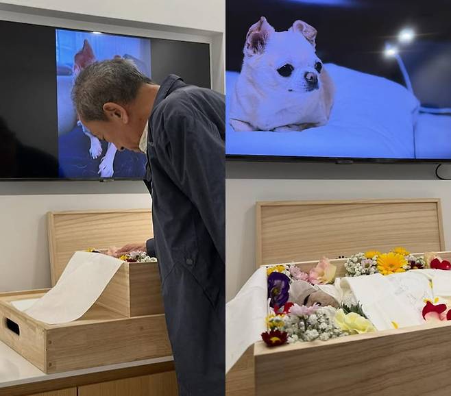 사진=이지혜 SNS