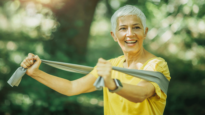 근육은 기초대사량을 높이고 혈당 조절, 골격 안정화 등 다양한 생리 기능을 수행한다｜출처: Gemini