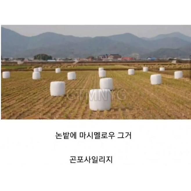 547966892_18528661291025340_6574651530203128801_n.webp.jpg 알려줘도 내일이면 까먹는 단어