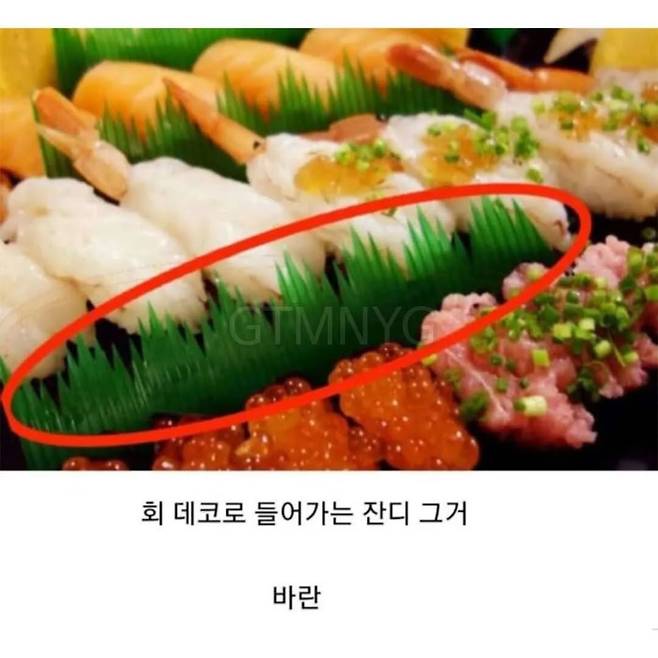 549237789_18528661300025340_2435249321068287858_n.webp.jpg 알려줘도 내일이면 까먹는 단어