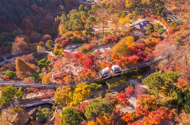 화담숲 가을 풍경. 곤지암리조트 제공