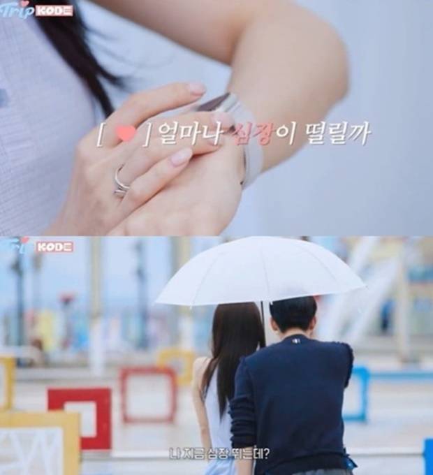 트립코드 화면 캡처