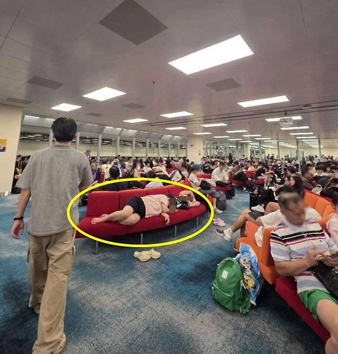 (보배드림 갈무리)