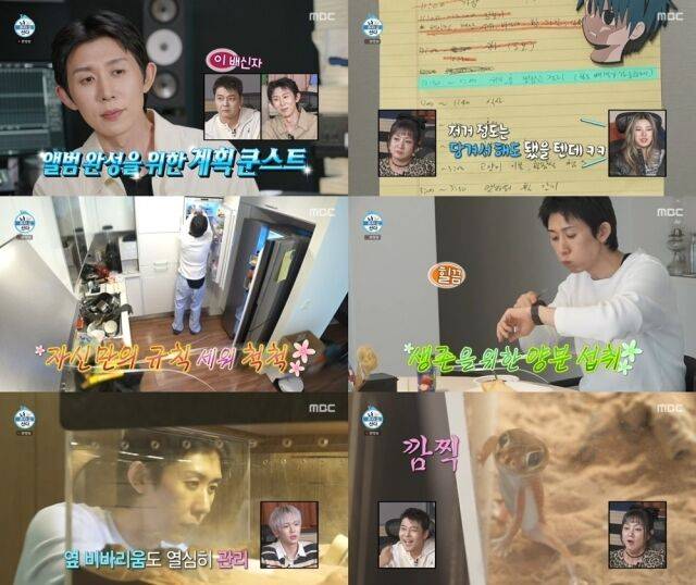 '나혼산'/MBC