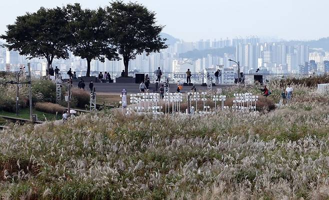 19일 서울억새축제가 열리는 서울 하늘공원의 모습. 연합뉴스