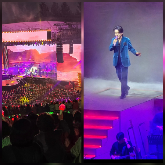 가수 황영웅이 드디어 무대 위로 돌아왔다.사진=공연 관계자