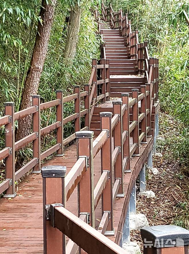 [나주=뉴시스] 이창우 기자=오르락내리락 걷는 재미가 있는 '나주호 둘레길' 2구간 데크길 모습. 2025.09.18. lcw@newsis.com