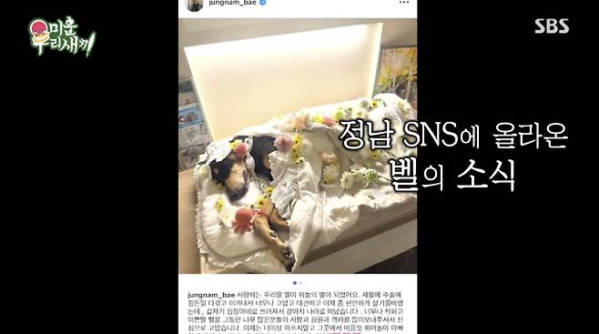 SBS 미우새 화면 캡처