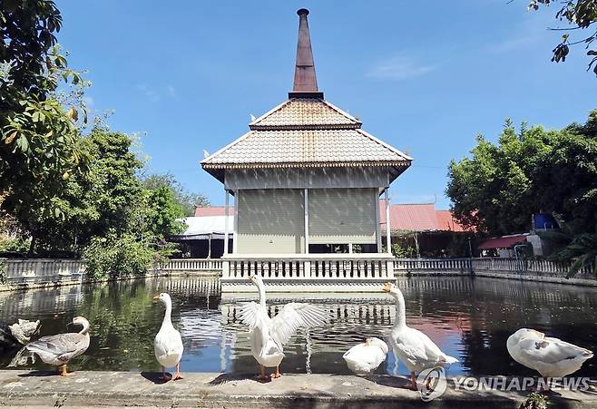 턱틀라 사원 내 화장 시설 (프놈펜=연합뉴스) 손현규 특파원 = 19일(현지시간) 캄보디아 수도 프놈펜 중심가에 있는 턱틀라 사원 내 화장시설 앞 호수에 오리들이 줄지어 서 있다. 2025.10.19 son@yna.co.kr