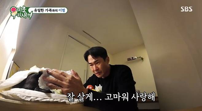 '미운 우리 새끼' 방송 캡처