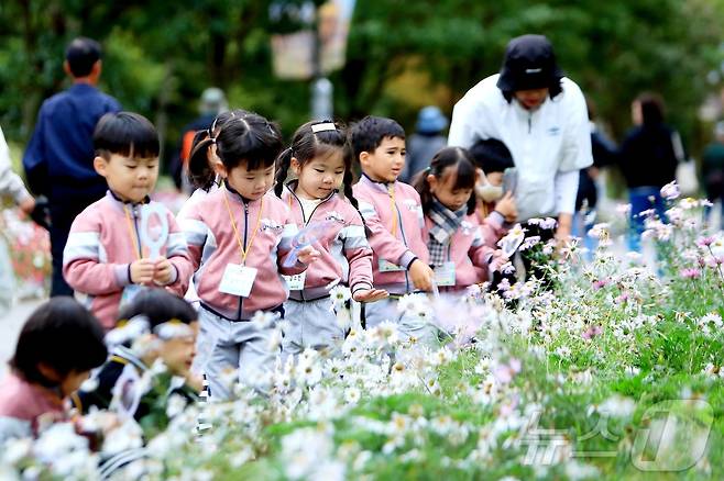 16일 강원 인제군 북면 용대리 일원에서 가을꽃 축제장을 찾은 어린이집 원아들이 꽃구경을 하고 있다.  (인제군 제공. 재판매 및 DB 금지) 2025.10.16/뉴스1