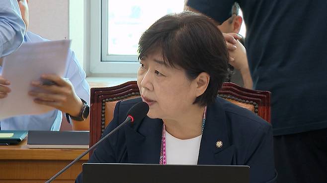 더불어민주당 서영교 의원