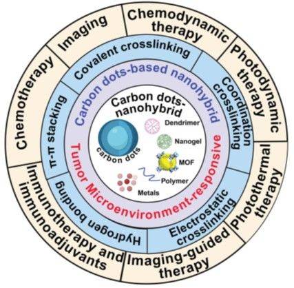 [서울=뉴시스] 영상 및 다양한 치료 전략을 지능적으로 통합할 수 있는 종양 미세환경 반응형 CD 기반 나노하이브리드 이미지. (사진=중앙대 제공) 2025.10.20. photo@newsis.com *재판매 및 DB 금지