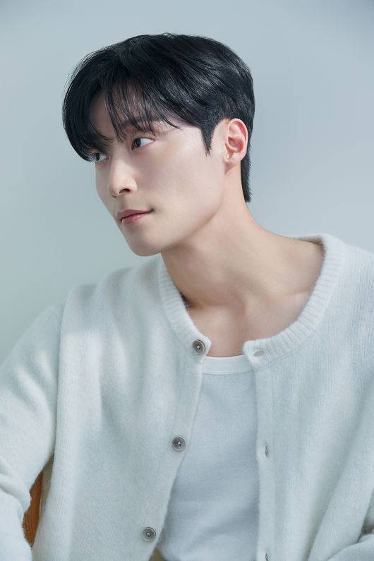 에이치솔리드 제공