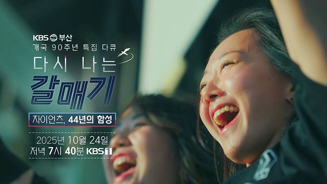 다큐 '다시 나는 갈매기' [부산KBS 제공]