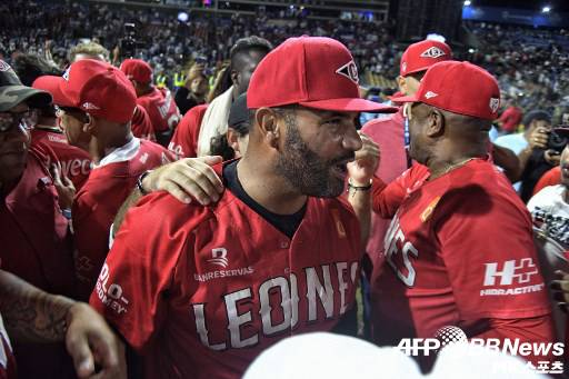 푸홀스는 도미니카 윈터리그에서 팀을 우승으로 이끌었다. 사진=ⓒAFPBBNews = News1