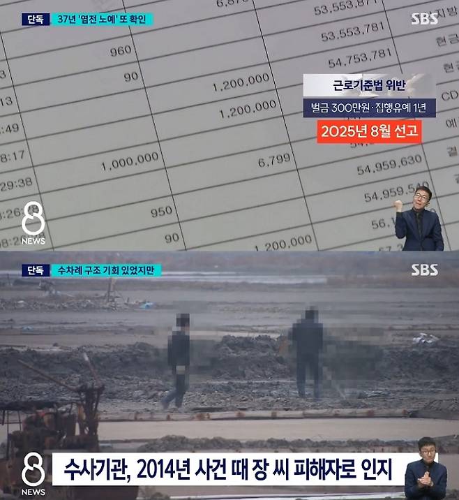 /사진=SBS 뉴스 캡처