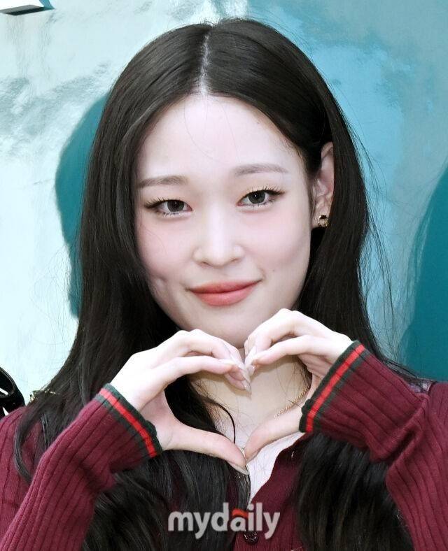 올데이 프로젝트 애니 / 마이데일리