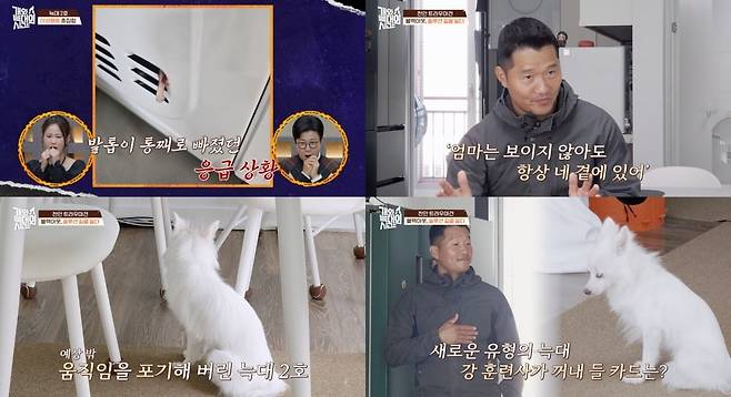 사진='개와 늑대의 시간' 캡처