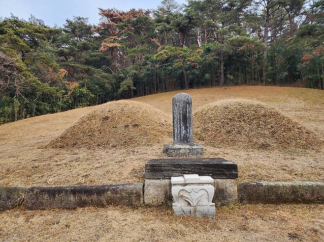 고봉 기대승 묘소