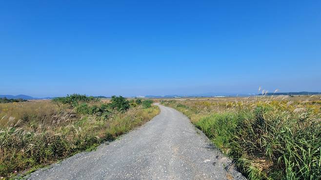 해남 솔라시도 유휴 부지. /박정석 기자
