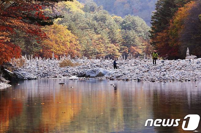 인제 백담계곡의 가을.자료사진 (인제군 제공, 재판매 및 DB 금지)