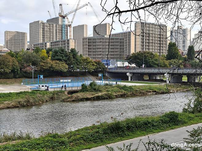 2배줌 기능으로 찍은 샘플 사진.