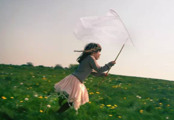 일본 도쿄의 공원 곳곳에서 중국인들이 식용 목적으로 매미 유충을 대량 포획하고 있다는 자국 보도가 전해졌다. 사진은 본 기사 내용과 무관. [사진=David Woolley]