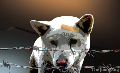 Animal abuse dog illustration [JOONGANG ILBO]