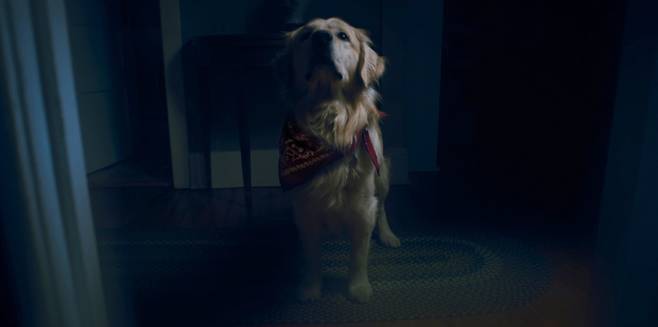 외화 '굿 보이' 스틸컷. 찬란 제공