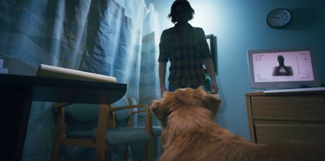 외화 '굿 보이' 스틸컷. 찬란 제공