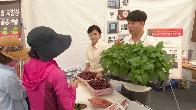 '2025 국제종자박람회' 행사장. 노컷TV 캡처