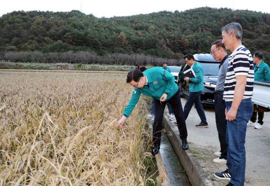 지난 20일 하승철 군수가 하동군 고전면 벼 재배지를 찾아 벼깨시무늬병 피해 현장을 점검하고 있다. 사진=하동군