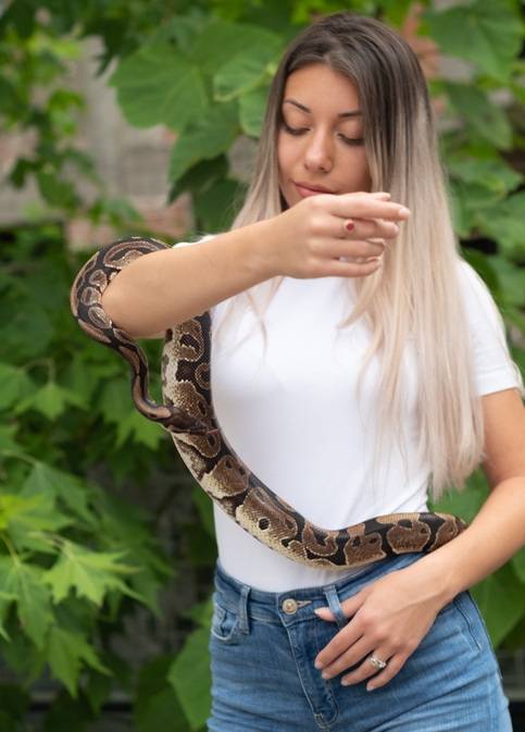 젊은 여성이 애완 뱀과 즐거운 한때를 보내고 있다. 뱀은 사람처럼 물로 된 소변을 보지 않는다. 육상에서 사는 파충류는 물을 아끼기 위해 암모니아를 요산으로 바꾼 덩어리(요산 결정체)를 배출한다. 하지만 통풍 환자처럼 극심한 통증을 느끼지 않는다. 파충류의 배출 메커니즘을 제대로 파악해 활용하면 통풍, 신장결석의 고통에서 해방될 수 있을 것으로 기대된다. 사진=게티이미지뱅크