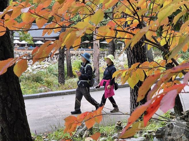 절정에 이른 설악산 단풍을 즐기려는 탐방객들이 23일 강원 속초시 설악산국립공원에서 산행을 즐기고 있다. 2025.10.23/뉴스1 ⓒ News1 윤왕근 기자