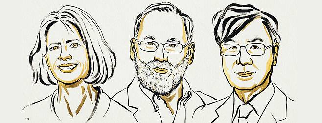 2025년 노벨생리의학상은 자가면역질환의 원인과 관련된 면역세포의 작동 원리를 밝힌 메리 브렁코 미국 시스템생물학연구소 박사(왼쪽부터), 프레드 램즈델 미국 소노마바이오테라퓨틱스 고문, 일본 오사카대학 사카구치 시몬 교수에게 돌아갔다. 노벨위원회 홈페이지