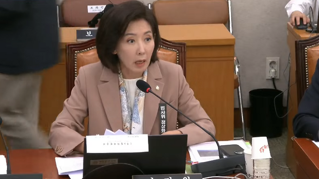 나경원 의원이 23일 국회 법제사법위원회에서 발언하고 있다. (유튜브 캡처)