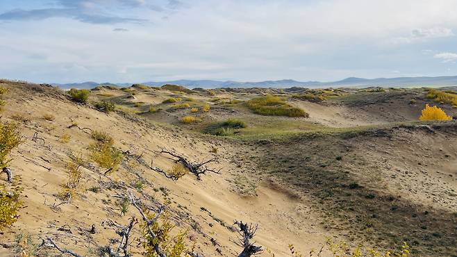 몽골 바양항가이 지역의 사막화 모습. 천권필 기자