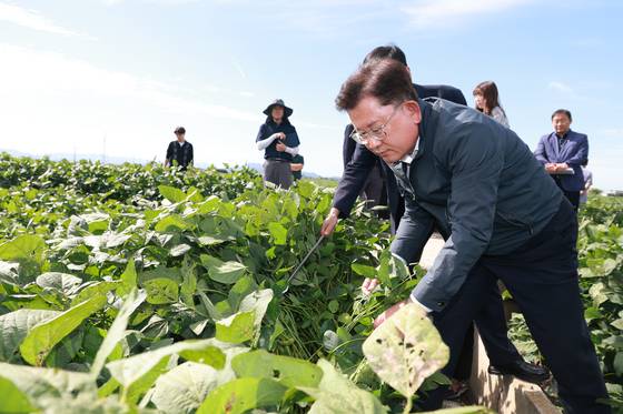 이승돈 농촌진흥청장이 지난달 22일 전북 김제시 논콩 생산단지에서 생육 상황을 점검하고 있다. 연합뉴스