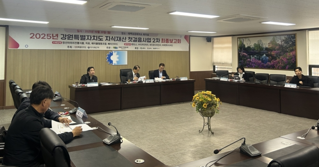 ▲ 태백상공회의소 강원남부지식재산센터는 20일 태백상공회의소 회의실에서 ‘2025년 도 지식재산 첫걸음사업 2차 최종보고회’를 개최했다.